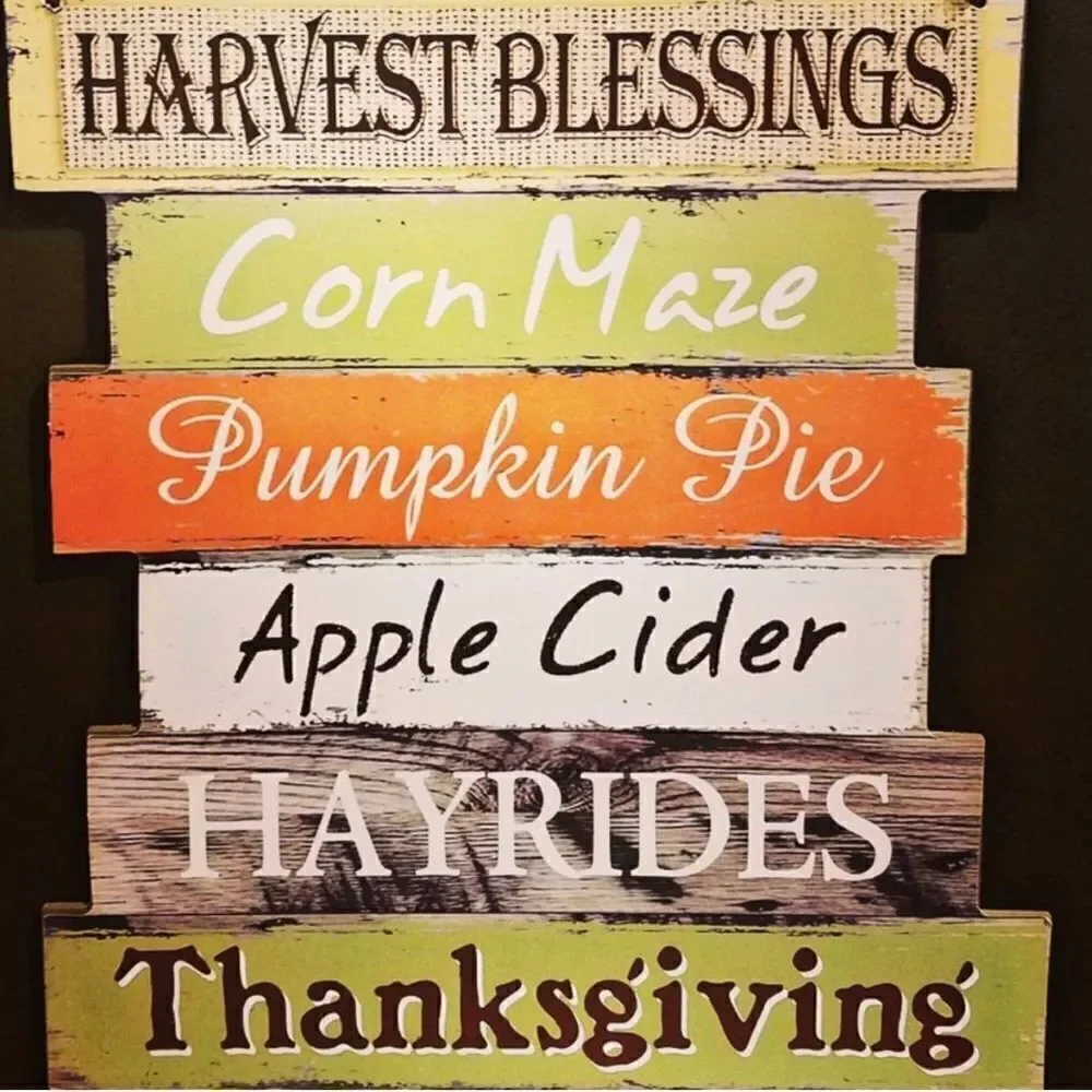 Martha Stewart Braided Pumpkins/Gourds Placemats Set of Four NWT